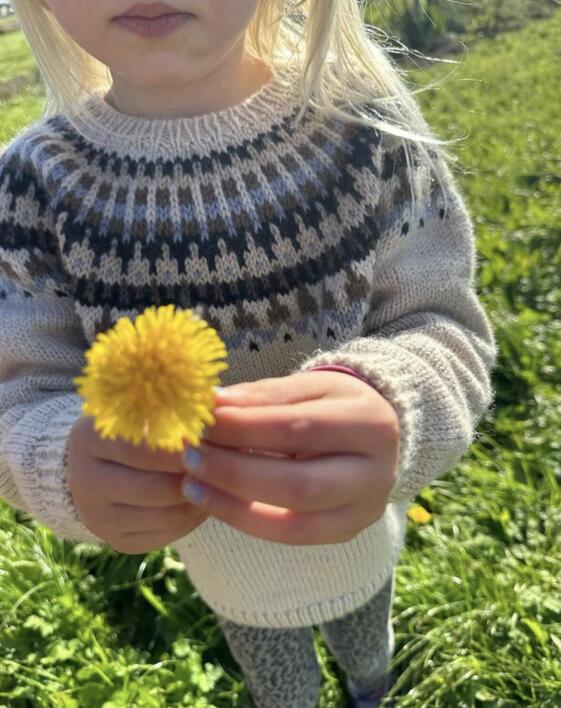 Celeste Sweater Junior - PetiteKnit