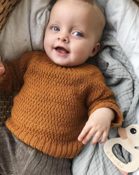 Alfreds Sweater - PetiteKnit